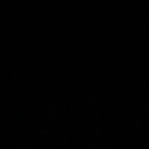 Meet your Posher, Steve